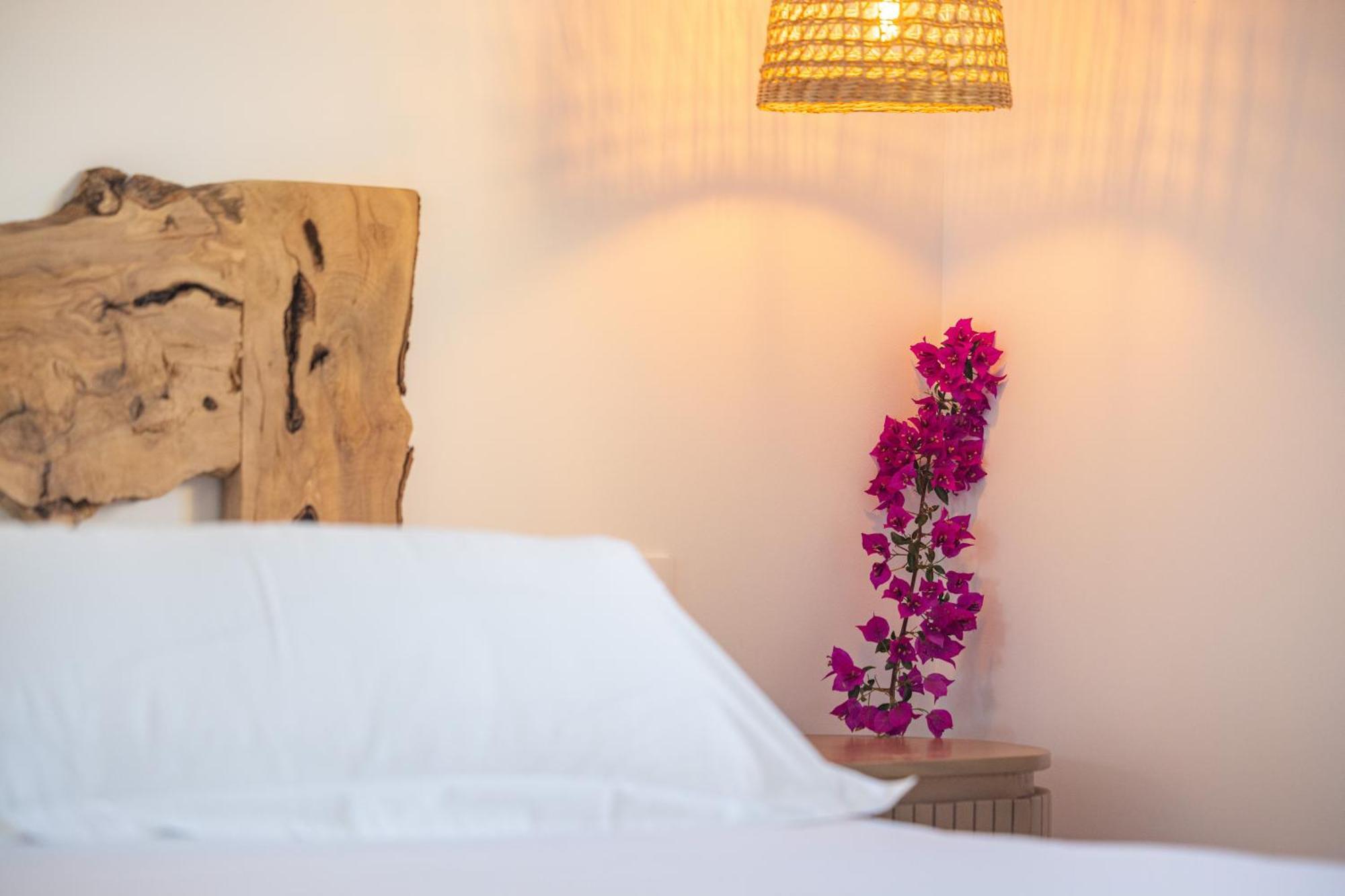 Hotel Boutique Mi Almazara 자베아 외부 사진